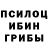Галлюциногенные грибы Psilocybine cubensis Aish Kamil